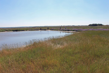 Baie d'Authie, Pas de Calais
