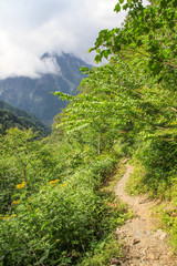 Fototapeta na wymiar Laubwald, Wanderweg und Berge auf der Wanderung zum Tokugo Pass in den japanischen Nordalpen bei Kamikochi auf der Insel Honshu