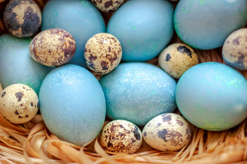 Blue easter eggs in the straw. Top view.