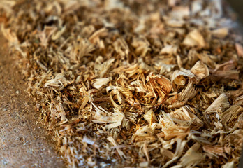 Closeup of wood chips. depth of field, soft focus effect