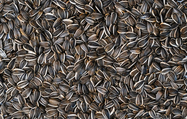 Black sunflower seeds