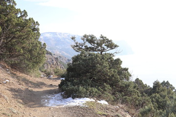 Krimea.Sevastopol.Most of the Sevastopol trail