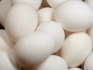 White chicken eggs close up