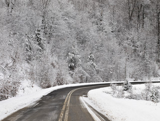 Curvy asphalt road in  a snow coverd forest in Central Macedonia Greece.