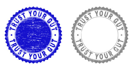 Grunge TRUST YOUR GUT stamp seals isolated on a white background. Rosette seals with distress texture in blue and grey colors. Vector rubber stamp imprint of TRUST YOUR GUT text inside round rosette.
