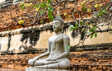 Wat Yai Chai Mongkhon Temple in Ayutthaya, Thailand