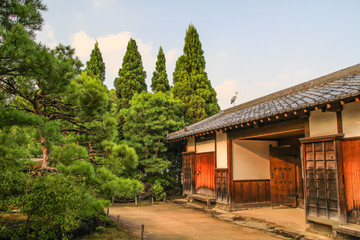 Fototapeta na wymiar Graureiher auf dem Dach eines traditionellen japanischen Hauses umgeben von Kiefern, aufgenommen in einem japanischen Garten in Himeji, Japan
