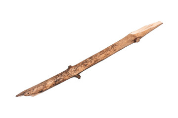 Single dry tree branch, isolated on white background. Stick tree branch from nature for design.