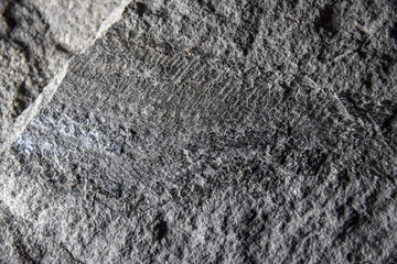 Stein, Granit, Grau, Rau, Sand, Robust, schatten, Textur, Hintergrund, Fossil