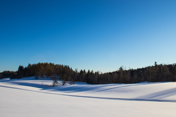 Fototapeta na wymiar Ski tracks through snow surrounded by pine trees