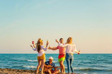 Obraz premium Group of friends on the beach play