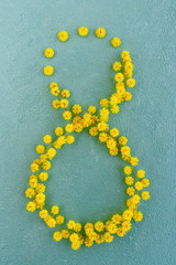 Number 8 made from mimosa for 8 March