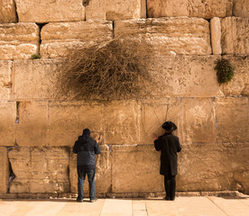 Pilgrims visiting the Wailing Wall in Jerusalem, Israel, Middle East