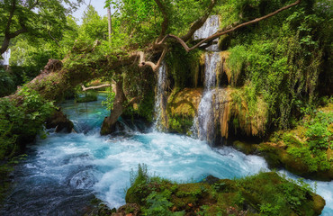 beautiful limestone waterfall forest