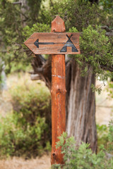 wooden signpost in the forest campground