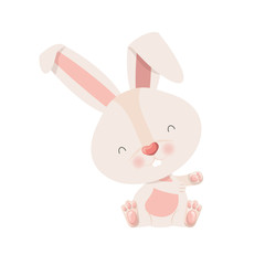 cute rabbit isolated icon