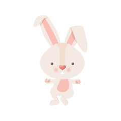 Fototapeta na wymiar cute rabbit isolated icon