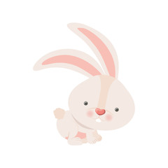 cute rabbit isolated icon