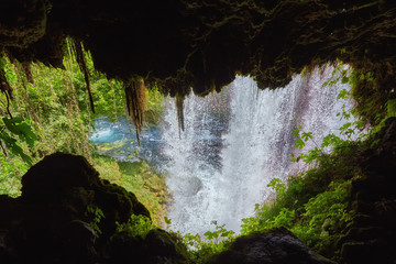 Jungle beautiful waterfall Mountain river stream - Landscape waterfall front of the cave green forest nature plant tree rainforest with rock stone