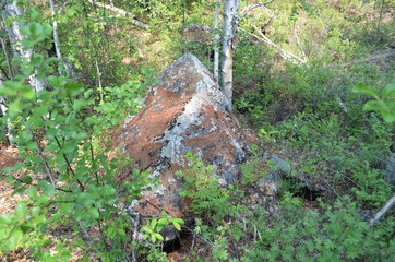 taiga, TRANS-Baikal territory
