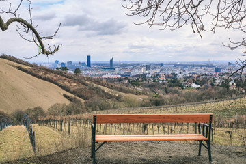 Empty bench with view over hibernal vineyards in Grinzing/Nussdorf and the cityscape of Vienna in the background