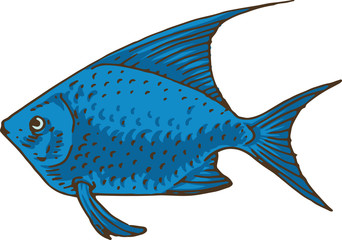 Blue Exotic Fish