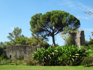 Ruderi di Sermoneta