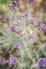 Eheringe Detailbilder