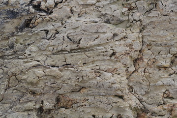 The texture of the cliff.