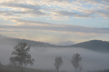 transbaikal territory