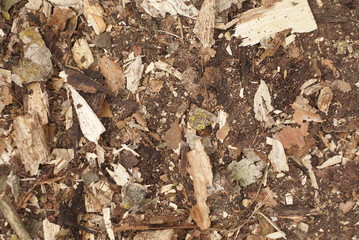 bark wood rubbish background