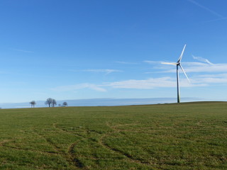 Fototapeta na wymiar Windrad auf den Eifel-Feldern