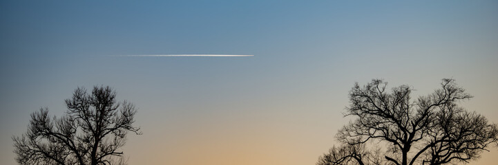 silhouettes of trees against the evening sky.