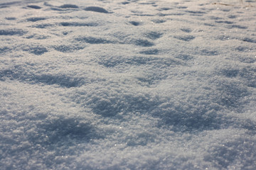 background. snow with prominent snowflakes. ice.