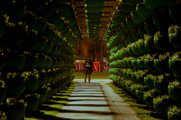 man standing end of the passage made of plants