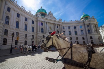 Horse-drawn Carriage in front of Imperial Hofburg Palace