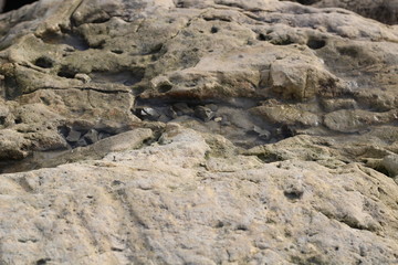 The texture of the cliff.	