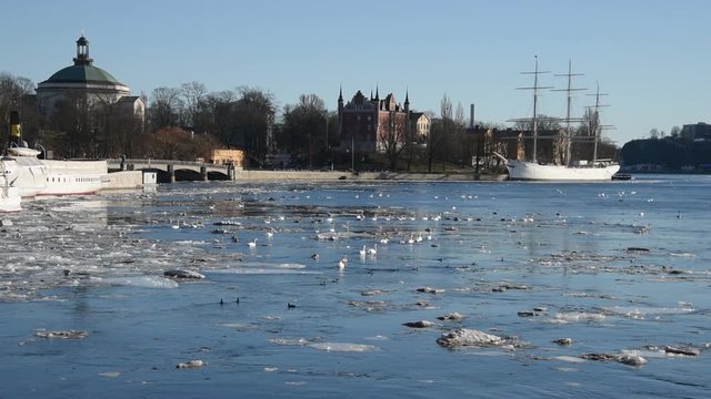 An early sunny spring day in Stockholm, birds and ice drifting on flow of meltwater