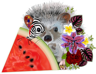 A hedgehog by a watermelon slice with flowers and a butterfly