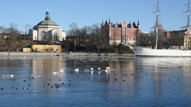 An early sunny spring day in Stockholm, birds and ice drifting on flow of meltwater