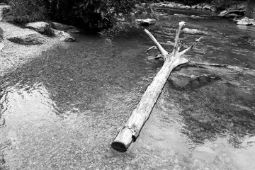 Isar