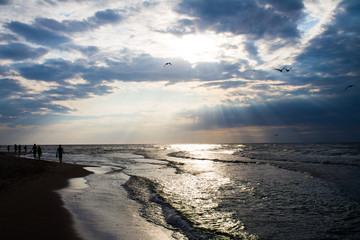 Fototapeta premium sunset on beach