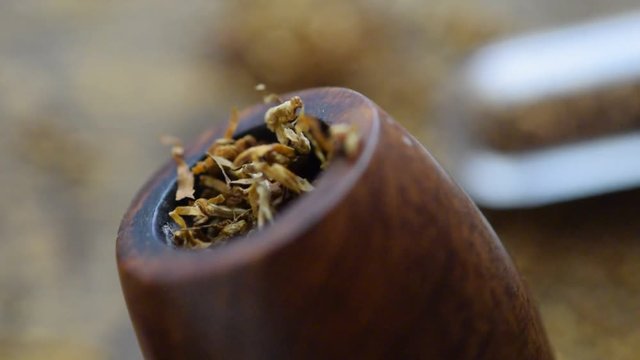 Tabacco ft8107_0379 Tobacco Tabak tytoń tabaco tutun t&uuml;t&uuml;n video duhan