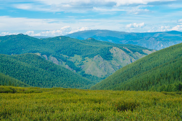 Spectacular view from meadow of giant mountains with forest cover under cloudy blue sky. Wonderful wild forest scenery. Atmospheric landscape of highland nature. Scenic minimalist mountainscape.