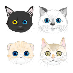 Set of watercolor style illustrations four cat heads portrait