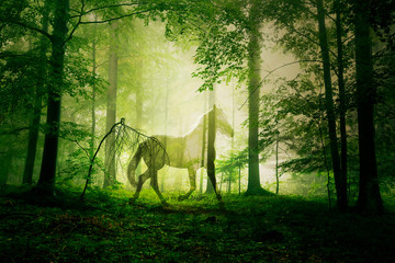 Artistic mystical horse animal in the green colored foggy fairy tale forest landscape.  - Powered by Adobe