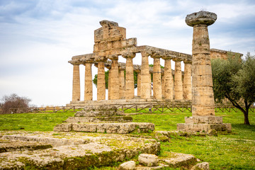 Fototapeta na wymiar Old ruins of Athena Temple in paestum, Italy