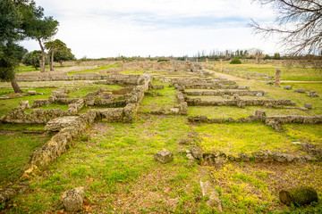 Fototapeta na wymiar Old ruins of ancient Greek city in Paestum, Italy