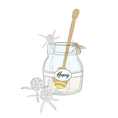 Nature cartoon honey and bee illustration. Big jar of honey advertising hand drawn sketch. Line art. Eco food