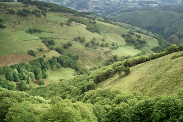 The green mountains of the French Pyrenees, Camino de Santiago